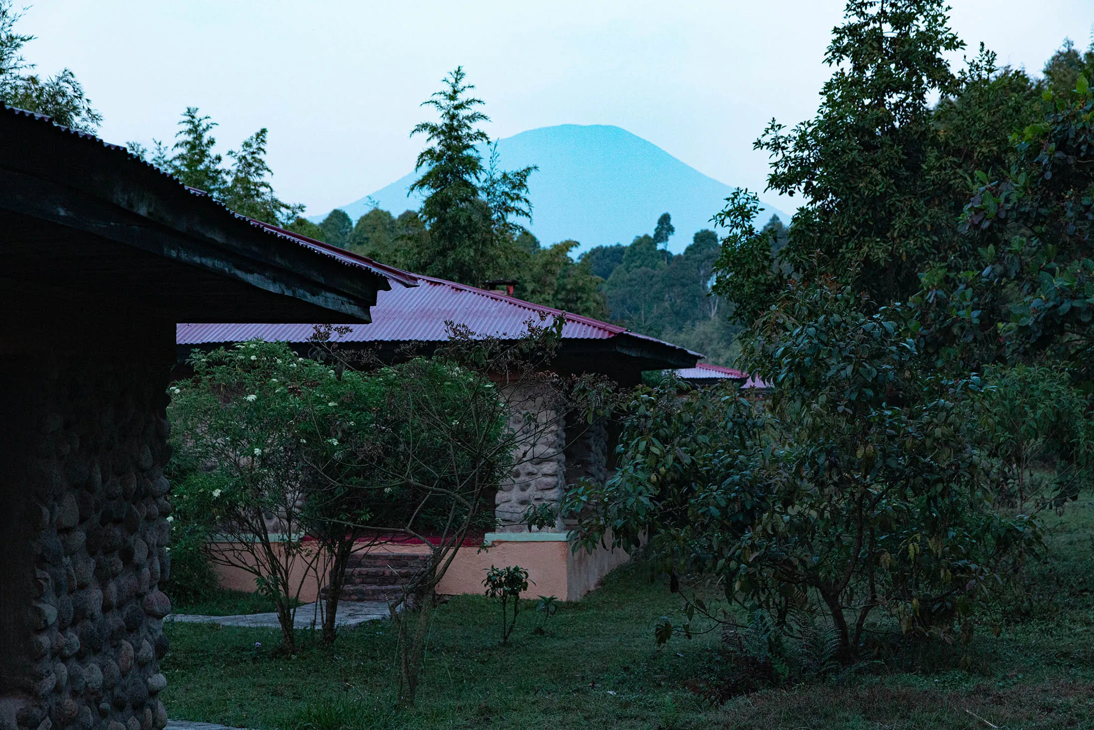 Mountain Gorilla View Lodge